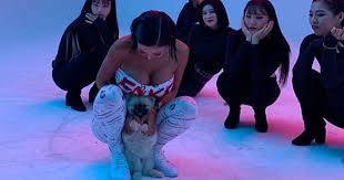 He is the founder of record label team wang. Jessi S Dog Chewie Reacting To Her Dancing Is All Of Us Koreaboo