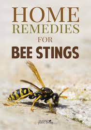 Home Remedies For Wasp Stings That You Can Use If You Get Stung All Of These Items You Probably Have Hanging Around Your Home Wasp Stings Wasp Repellent Wasp