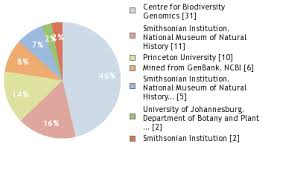 Image result for Turraea wakefieldii