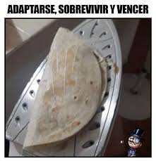 Gracias Ideas En 5 Minutos