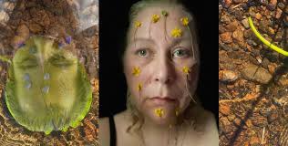 If We Grew Fins -exhibition at Gallery Seinä