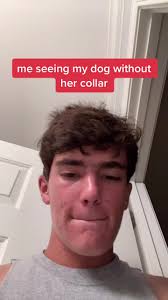 Where Your Clothes at Dog Video