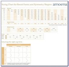 Abc Breast Forms Size Chart Mbm Legal