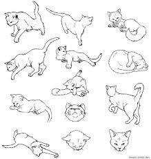 Catalogue number hmf 1945 verso. Cat Study By Frankizinke On Deviantart Animal Drawings Cat Anatomy Cat Sketch