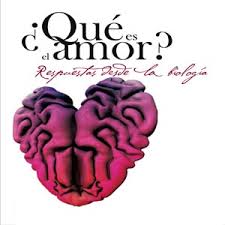 Y es que el amor no resulta fácil de definir debido a que se trata de un fenómeno complejo y con muchas facetas que, además, se experimenta en una el amor no es simplemente que alguien te guste mucho más que los demás, sino un sentimiento diferente. Que Es El Amor Respuestas Desde La Biologia