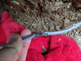 Almost all sprinkler wires are shielded to protect them from the elements when installed underground. Nicked Underground Wire To Pool Pump Will Underground Splice Kit With Heat Shrink Tube Be Sufficient Electricians