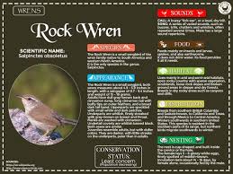 Birds Of Western North Carolina Book Pin On Birds