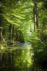 Lentebos Nature Photography Landscape Beautiful Landscapes