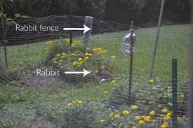 Build this raised garden bed 74. Tips For Planting A Raised Garden Bed Dogs Don T Eat Pizza