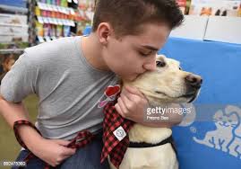 88 fotos e imagens de alta resolução de Petco Foundation