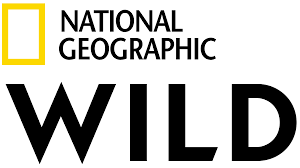Thanks to an integrated motor. Nat Geo Wild Wikipedia