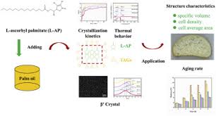 Palm oil may be fractionated into two major fractions: L Ascorbyl Palmitate Modify The Crystallization Behavior Of Palm Oil Mechanism And Application Lwt Food Science And Technology X Mol