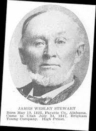 James Wesley Stewart (1825-1913)