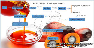 Process Flow Diagram Of Palm Oil Mill Plant_palm Oil