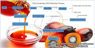 process flow diagram of palm oil mill plant_palm oil