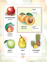 овощи и фрукты на английском с транскрипцией на русском Pin Ot Polzovatelya So Fi Na Doske English Dlya Detej Izuchenie Anglijskogo Anglijskaya Grammatika