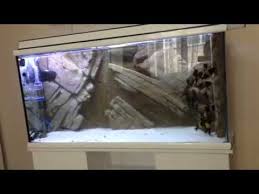 Tabalkon Aqua 3d Akvaryum Fonlari Yahya Bey Tanki Akvaryum Dekor Tank