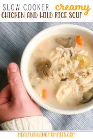 Slow Cooker Creamy Chicken and Wild Rice Soup
