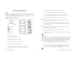 Dna replication practice questionsshow all. 18 Dna Structure And Replication S