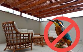 How To Get Rid Of Birds Pooping On Patio House Cleaning Advice