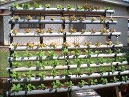 Nft Aquaponics Advantages Of Aquaponic Farming Aquaponics System Aquaponics Greenhouse Aquaponics