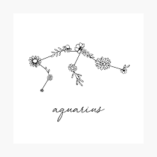 Aquarius Zodiac Wildflower Constellation Photographic Print By Aterkaderk In 2021 Aquarius Tattoo Astrology Tattoo Aquarius Flower