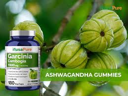 Image result for Garcinia pachyclada