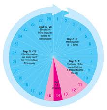 Safe Days Pie Chart Best Picture Of Chart Anyimage Org