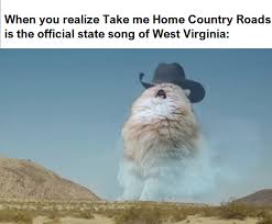 West virginia's state bird is the northern cardinal. West Virginiaaaaa Memes