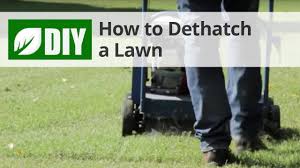 This is the ideal fertilizer for lawns, as the nitrogen promotes the fast growth of healthy, lush blades of grass to create a thick, green lawn. Diy Lawn Care Calendar Maintenance Schedule For Cool Season Grasses