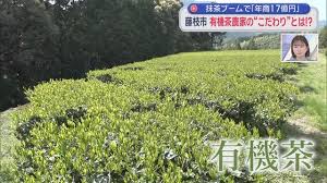 静岡朝日テレビ