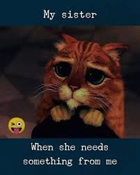 I am so lucky and blessed that he is my husband. 108 Sister Quotes And Funny Sayings With Images Brother Quotes Funny Siblings Funny Quotes Sisters Funny