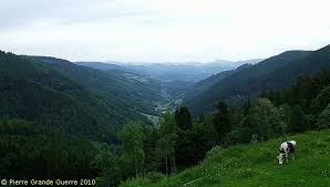La commune s'étend sur 45. Vosges Ste Marie Aux Mines Tete Du Violu Bernhardstein