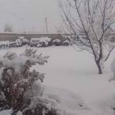 Tras Tormenta Invernal Cae Nevada En Cuauhtemoc Chihuahua