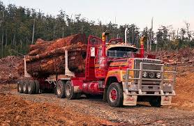 Image result for Mack Green 1945 Truck