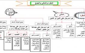 حل درس إعراب المثنى وجمع المذكر السالم لغة عربية الصف السادس سراج