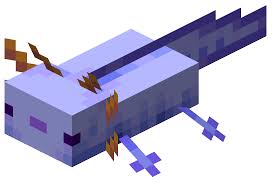 They come in five different colors, but the blue ones are extremely rare. Axolotl Minecraft Wiki
