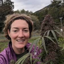 Cannabis Home Grow Kit