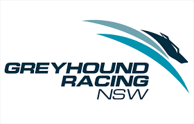 Greyhound racing nsw (grnsw) stewards have concluded an inquiry into jeffrey stedman, who has been charged with breaches of rules 86b(1)(a), 86b(1)(b), and 86b(1)(c). Socceroo Legend Tim Cahill Announced As Greyhounds As Pets Ambassador