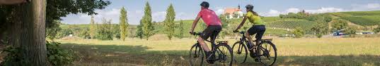 Fahrradverleih Reparatur Kitzinger Land