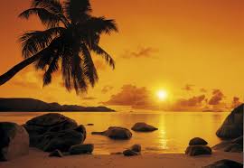 Use the following search parameters to narrow your results Fototapete Sunset Abendliche Atmosphare Am Palmenstrand