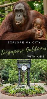 Singapore S Best Outdoor Activities With Kids In 2020 Activities In Singapore Family Adventure Travel Singapore With Kids