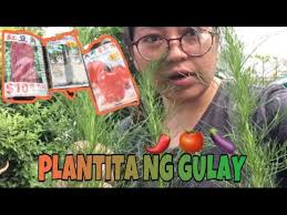 Phinang Vlogs