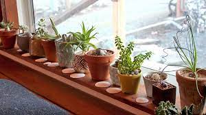 Diy grow lights for succulents. Succulent Grow Light Recommendations Mountain Crest Gardens