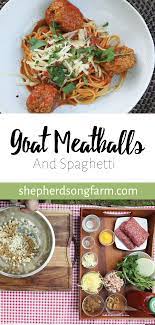 Goat Meatballs And Spaghetti Shepherd Song Farm Recipe Goat Recipes Spaghetti And Meatballs Meatballs