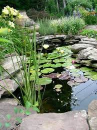 Wie Sie Einen Pflegeleichten Gartenteich Selber Bauen In 7 Schritten Bassin De Jardin Jardin D Eau Etang De Jardin