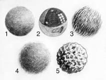 Image result