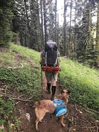 I'm a huge believer that to enjoy a festival properly, you need to make sure you're drinking plenty of water, and the best way to ensure you do that is by having the right gear. The Essential Backpacking Checklist For Every Adventurer