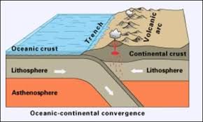 Image Result For Cross Section Diagrams Earth Science Activities Earth Science Plate Tectonics