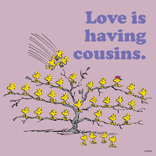 Birthday Wishes For Cousin Sister Instagram Love Is Having Cousins Birthday Quotes For Him Birthday Wishes For Nephew Cousin Quotes